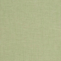 D3951 LIME (Charlotte Fabrics)