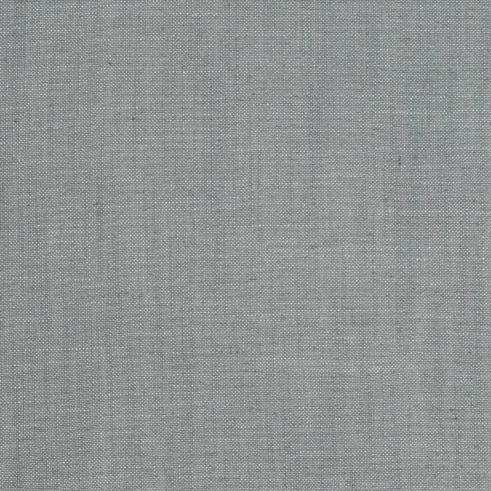 D3956 SLATE (Charlotte Fabrics)