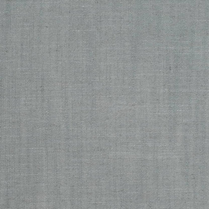 D3956 SLATE (Charlotte Fabrics)