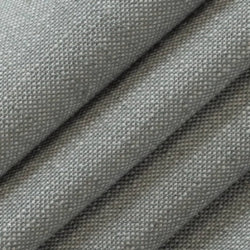 D3956 SLATE (Charlotte Fabrics)