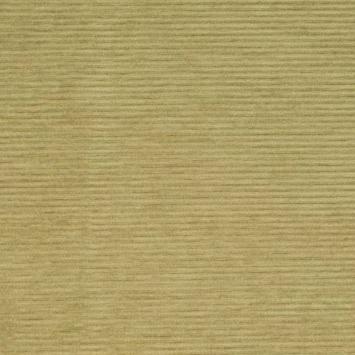 D4170 PEAR Crypton (Charlotte Fabrics)