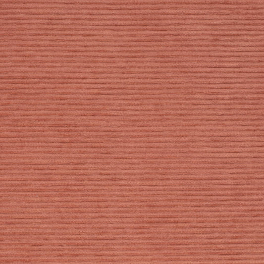 D4175 CORAL Crypton (Charlotte Fabrics)