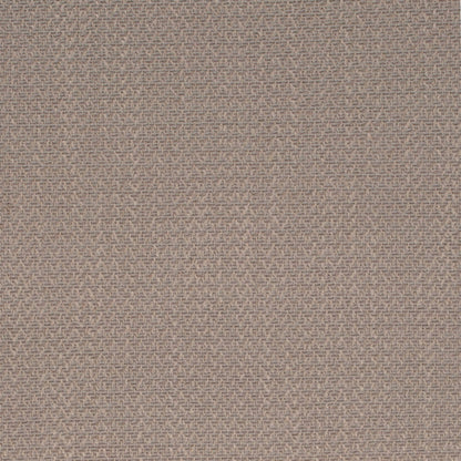 D4261 DRIFTWOOD Crypton (Charlotte Fabrics)