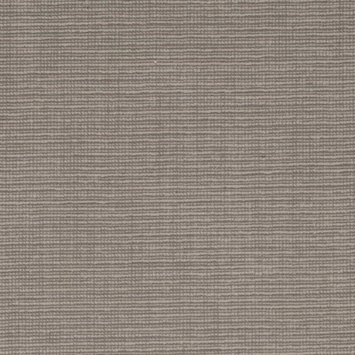 D4266 GREYSTONE Crypton (Charlotte Fabrics) – FabricFusions