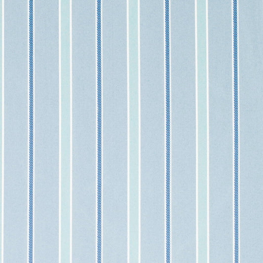 D4303 SKY (Charlotte Fabrics)