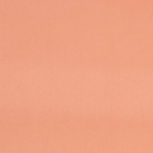D4504 SUEDED VELVET BLUSH (Charlotte Fabrics)