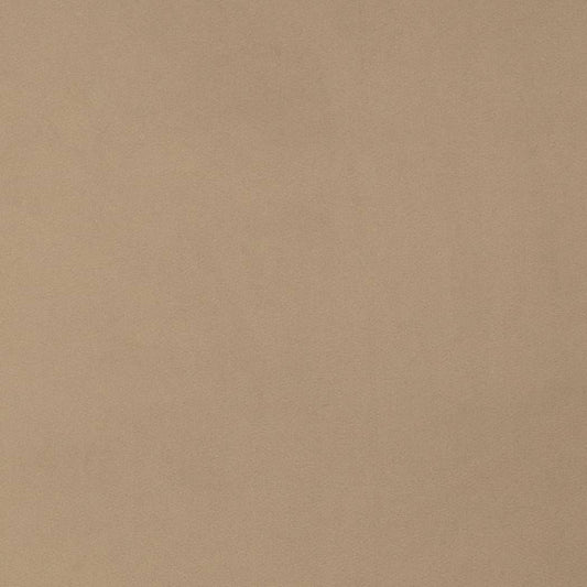 D4513 SUEDED VELVET DOVE (Charlotte Fabrics)