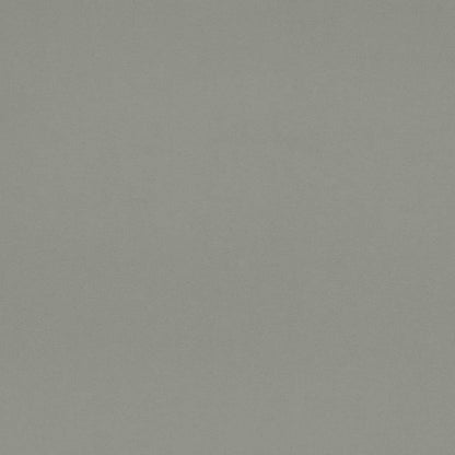 D4519 SUEDED VELVET CHAMBRAY (Charlotte Fabrics)