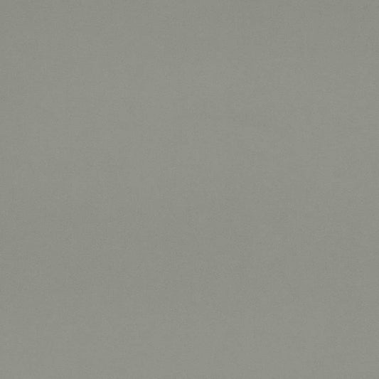 D4519 SUEDED VELVET CHAMBRAY (Charlotte Fabrics)