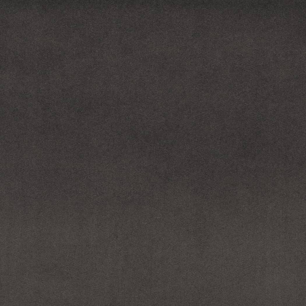 D4523 SUEDED VELVET CHARCOAL (Charlotte Fabrics)
