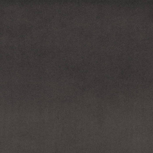 D4523 SUEDED VELVET CHARCOAL (Charlotte Fabrics)