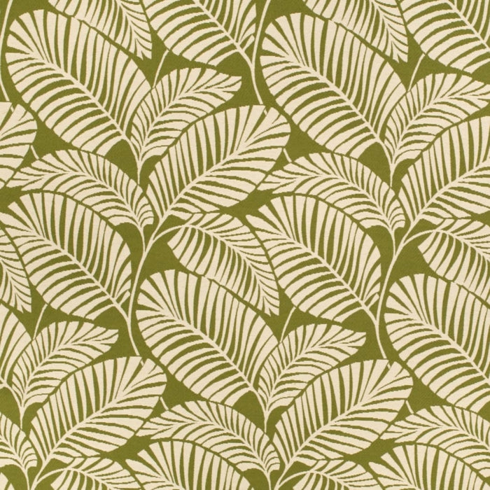 D4558 PALM GRASS (Charlotte Fabrics)