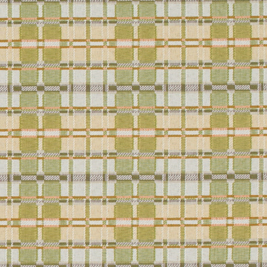 D4616 Artichoke CONTRACT COLLECTIVE (Charlotte Fabrics)