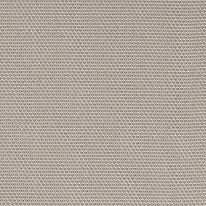 D4624 Platinum CONTRACT COLLECTIVE (Charlotte Fabrics)