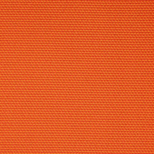 D4626 Pumpkin CONTRACT COLLECTIVE (Charlotte Fabrics)