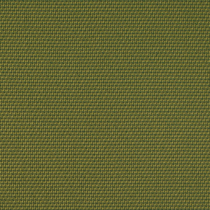 D4629 Lime CONTRACT COLLECTIVE (Charlotte Fabrics)