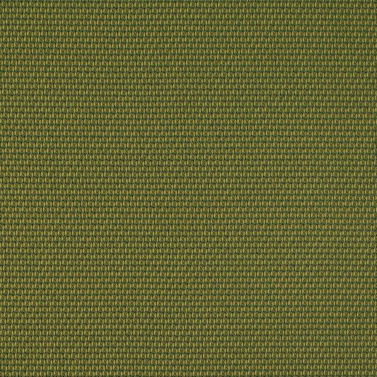 D4629 Lime CONTRACT COLLECTIVE (Charlotte Fabrics)
