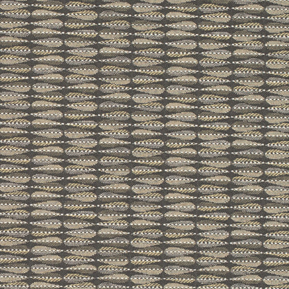 D4650 Graphite CONTRACT COLLECTIVE (Charlotte Fabrics)