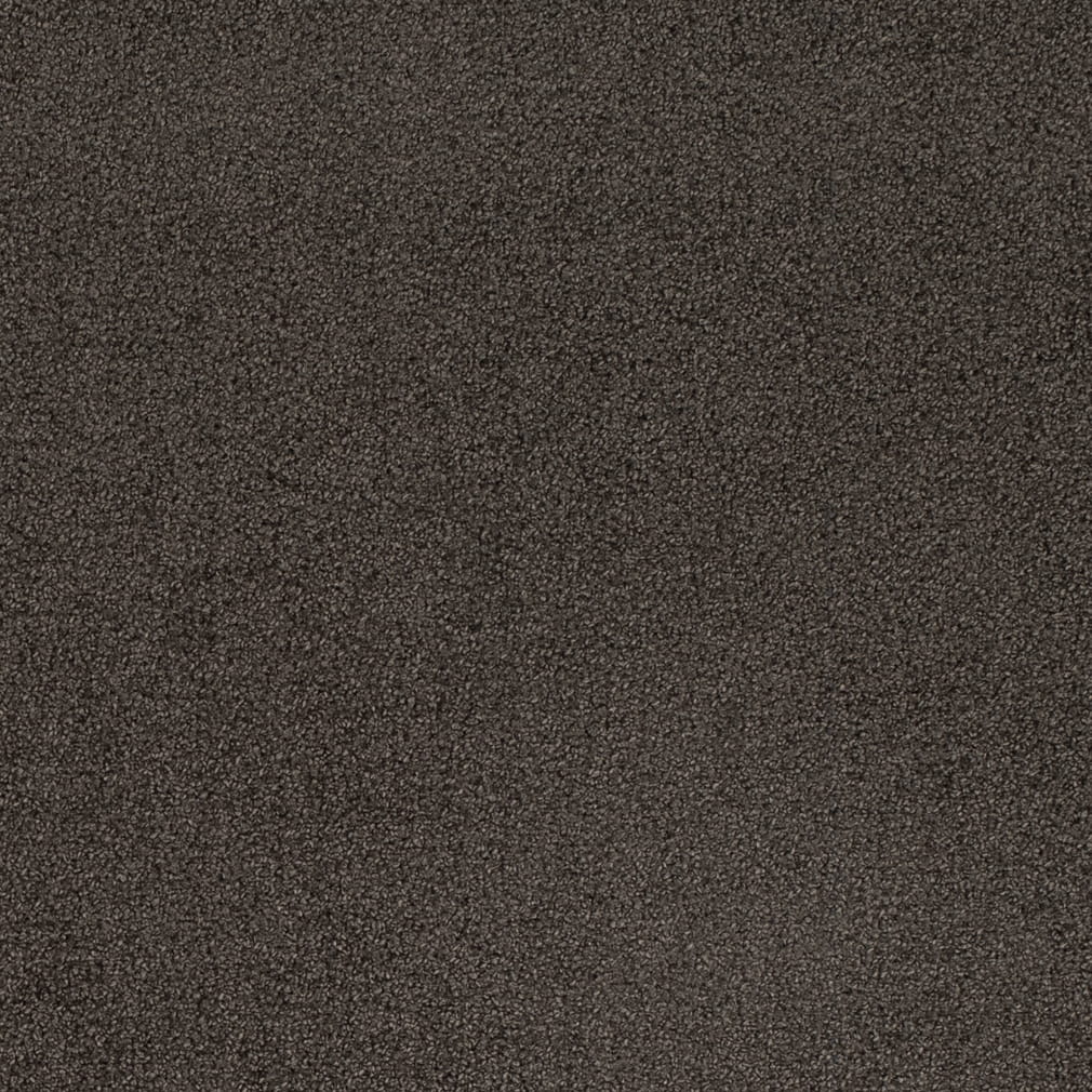 D4659 ASH CRYPTON (Charlotte Fabrics)