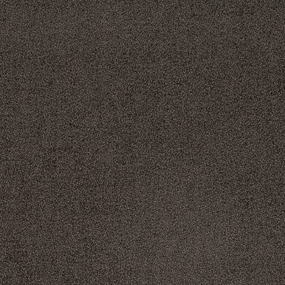 D4659 ASH CRYPTON (Charlotte Fabrics)