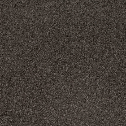 D4659 ASH CRYPTON (Charlotte Fabrics)