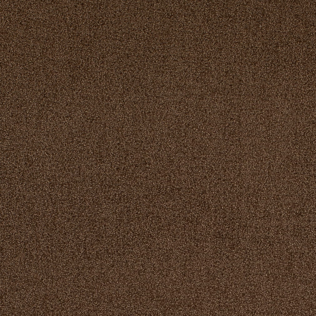 D4667 PECAN CRYPTON (Charlotte Fabrics)