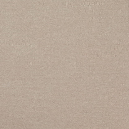 D4742 Driftwood Studio Velvet (Charlotte Fabrics)