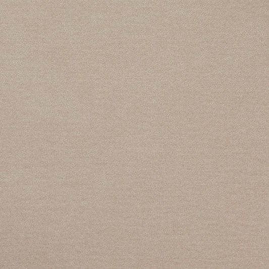 D4742 Driftwood Studio Velvet (Charlotte Fabrics)