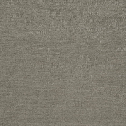 D4743 Sage Studio Velvet (Charlotte Fabrics)