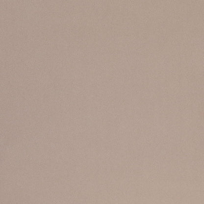 D4751 Pebble Studio Velvet (Charlotte Fabrics)