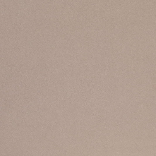 D4751 Pebble Studio Velvet (Charlotte Fabrics)