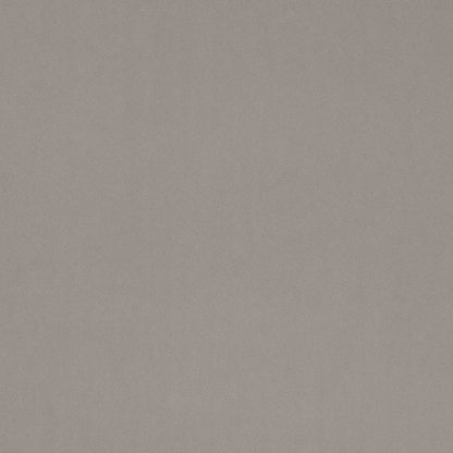 D4755 Dove Studio Velvet (Charlotte Fabrics)