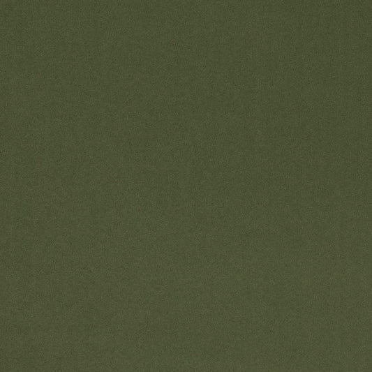 D4769 Basil Studio Velvet (Charlotte Fabrics)
