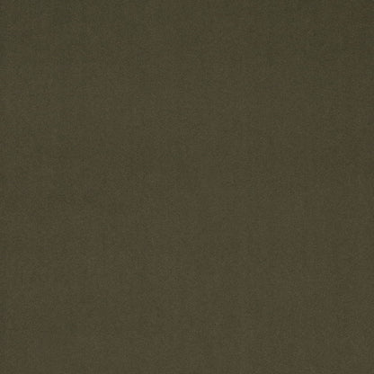 D4772 Moss Studio Velvet (Charlotte Fabrics)