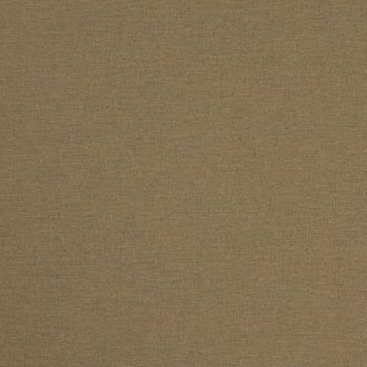 D4831 Olive Patio Plains II Collection (Charlotte Fabrics)