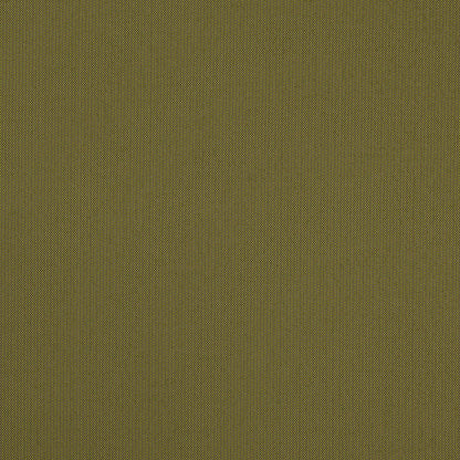 D4836 Grass Patio Plains II Collection (Charlotte Fabrics)