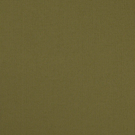 D4836 Grass Patio Plains II Collection (Charlotte Fabrics)
