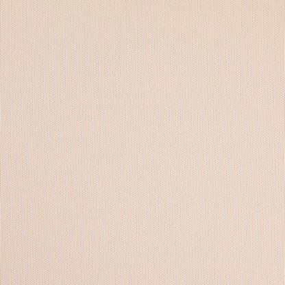 D4842 Parchment Patio Plains II Collection (Charlotte Fabrics)
