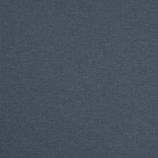 D4843 Denim Patio Plains II Collection (Charlotte Fabrics)