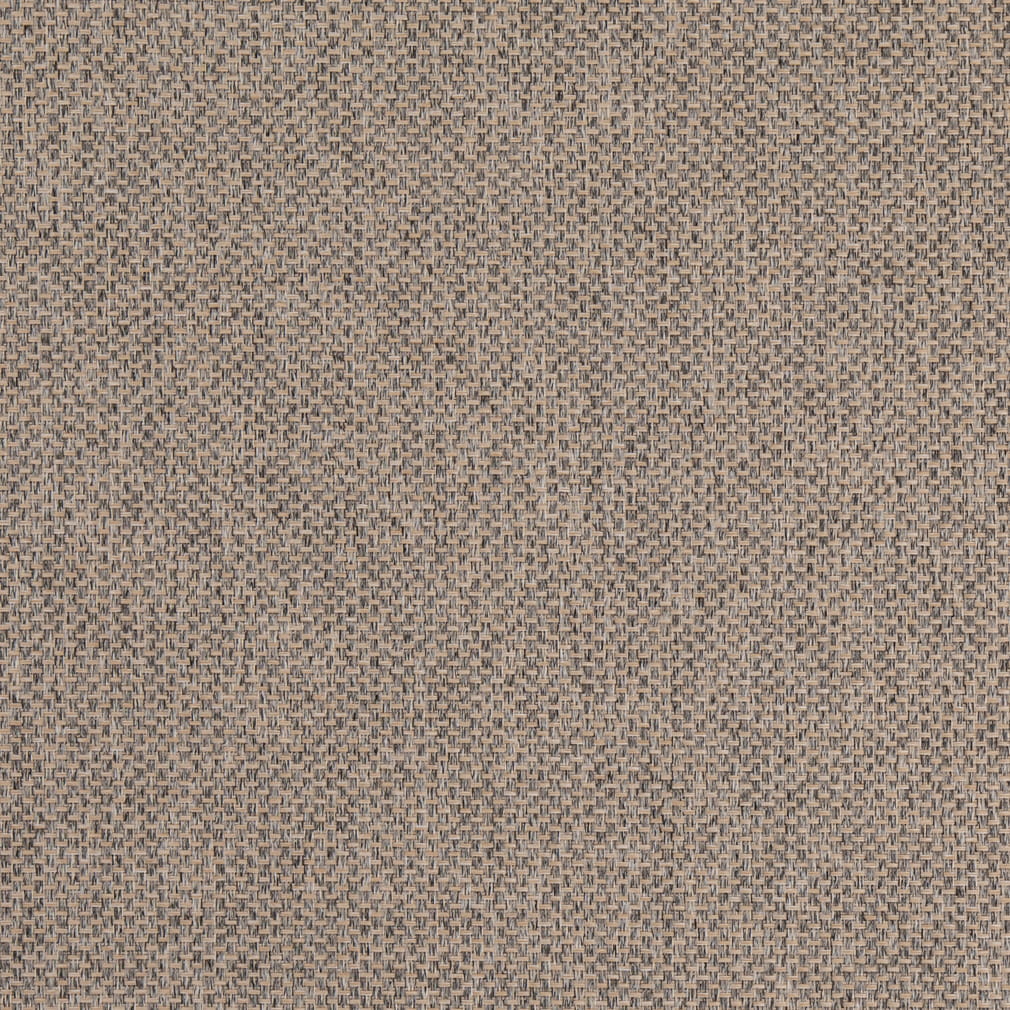 D4859 Dove Patio Plains II Collection (Charlotte Fabrics)