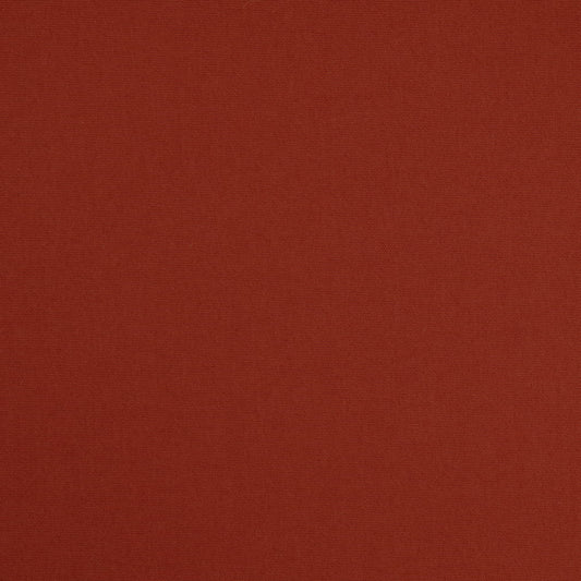 D4865 Paprika Patio Plains II Collection (Charlotte Fabrics)