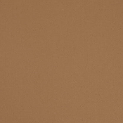 D4866 Caramel Patio Plains II Collection (Charlotte Fabrics)