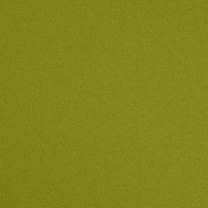 D4872 Lime Patio Plains II Collection (Charlotte Fabrics)