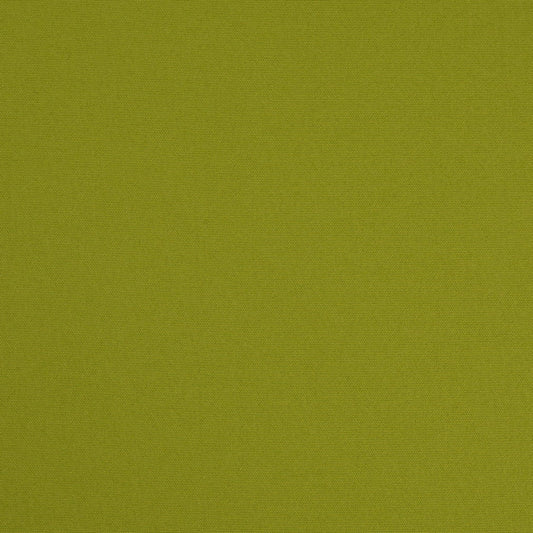 D4872 Lime Patio Plains II Collection (Charlotte Fabrics)