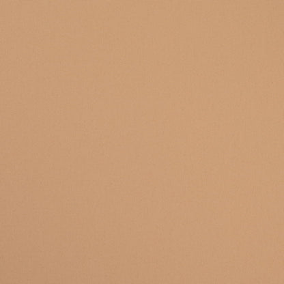 D4873 Flax Patio Plains II Collection (Charlotte Fabrics)