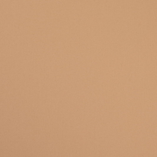 D4873 Flax Patio Plains II Collection (Charlotte Fabrics)