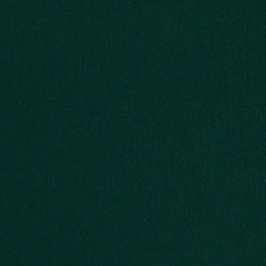 D4875 Hunter Patio Plains II Collection (Charlotte Fabrics)