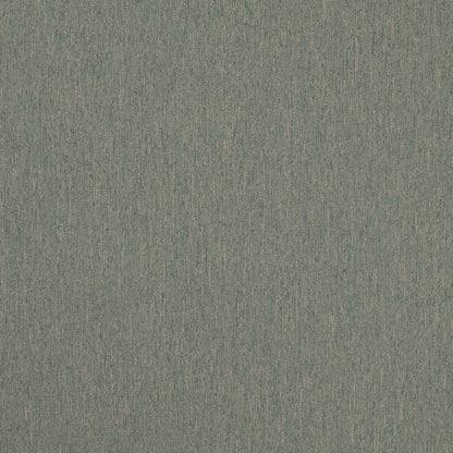 D4883 Water Patio Plains II Collection (Charlotte Fabrics)