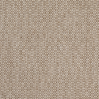 D4889 Mushroom Patio Plains II Collection (Charlotte Fabrics)