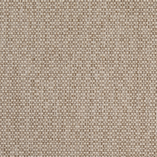 D4889 Mushroom Patio Plains II Collection (Charlotte Fabrics)